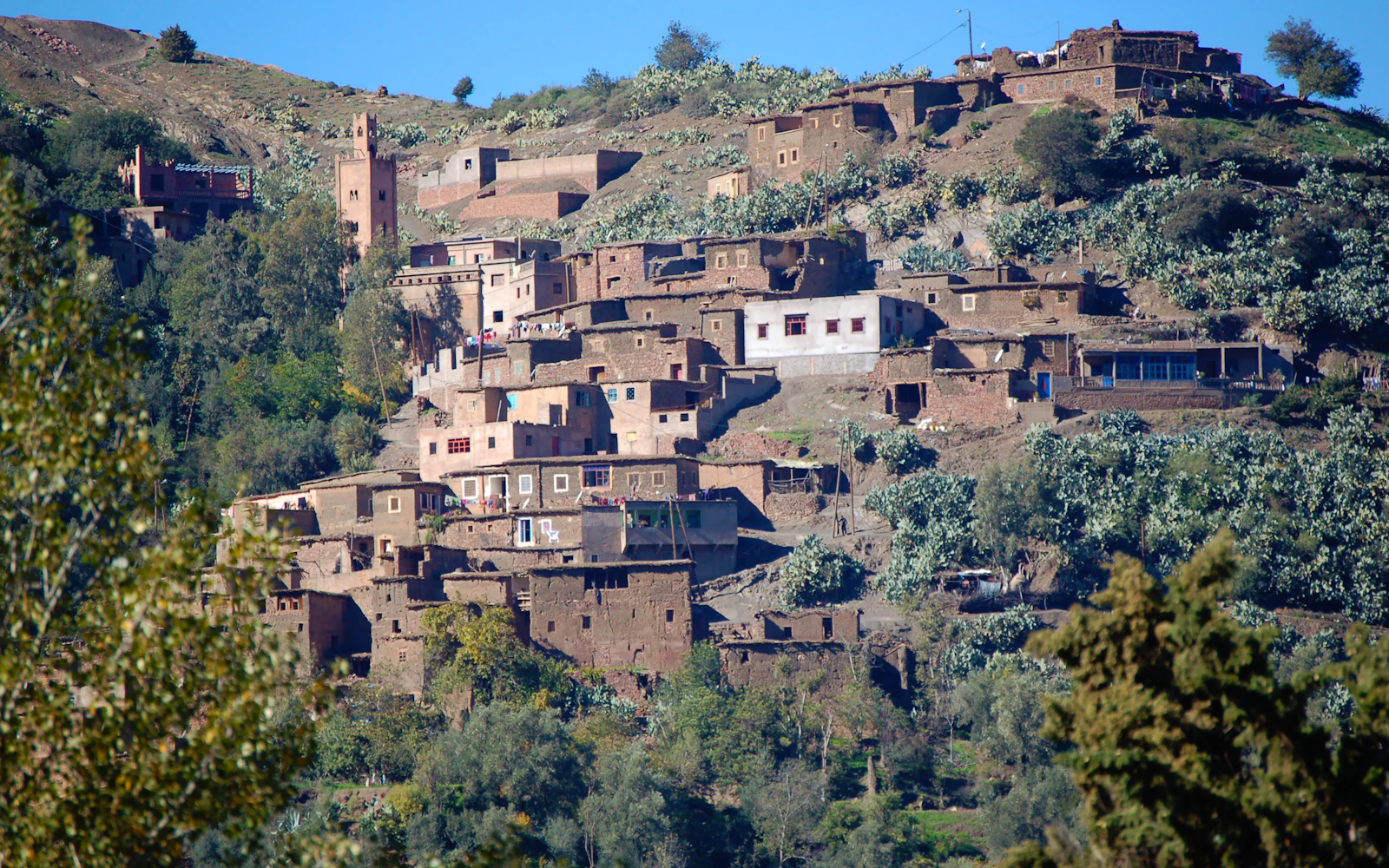 Imlil & High Atlas Day Hike