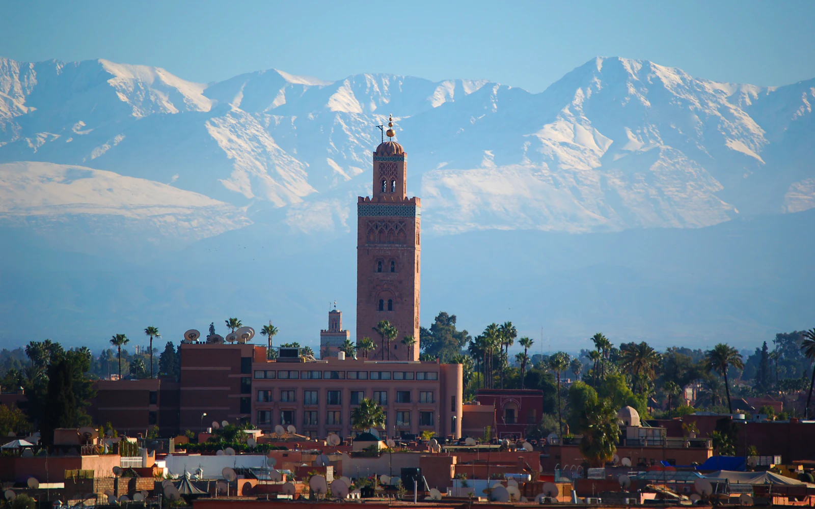 Marrakech by Bicycle with a Local