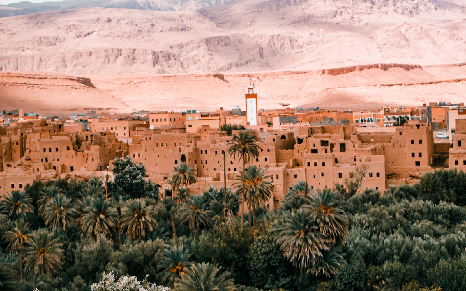 Palmeraie et village de la vallée du Drâa